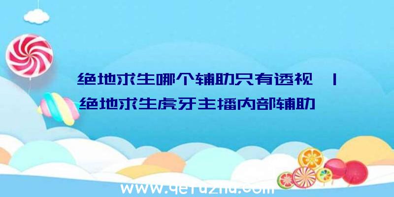 「绝地求生哪个辅助只有透视」|绝地求生虎牙主播内部辅助